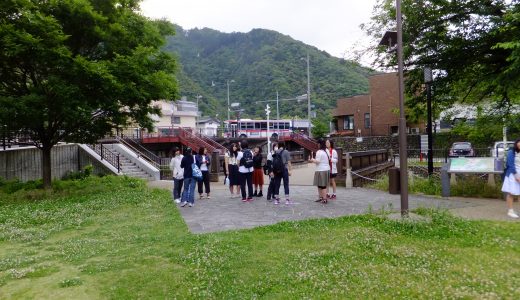 桂川の菜の花を見る。