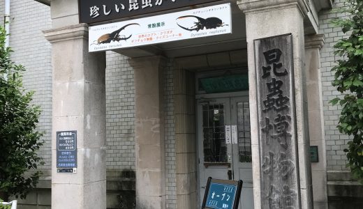 連休初日を京都に戻る。