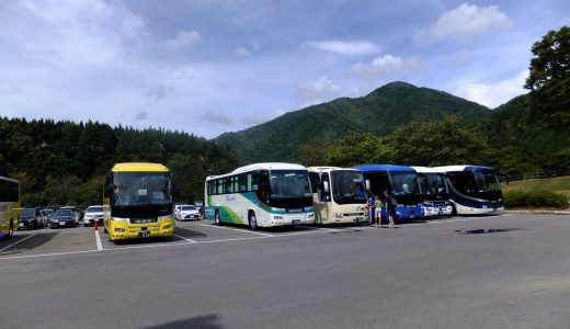 広隆寺に行き、弥勒菩薩を見る。